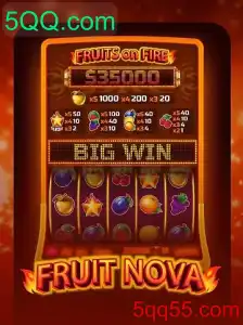 Descubra o Mundo Vibrante de FruitNova no 5QQ.com